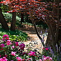 The Garden Path