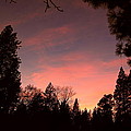 Paradise At Dusk