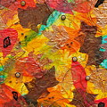 Autumn Leaves Underfoot